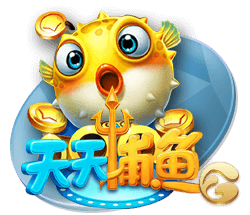 开云电竞集合版